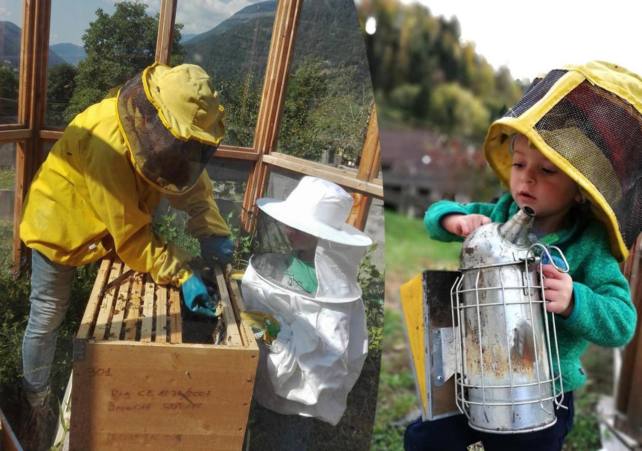 Agriturismo Dalla Natura La Salute Giustino Eksteriør bilde