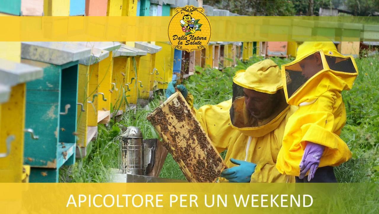 Agriturismo Dalla Natura La Salute Giustino Eksteriør bilde